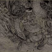 Storms of Agony