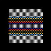Human Codec