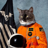 Avatar för KatzeAstronaut