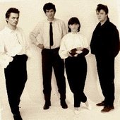 Stidljiva Ljubičica