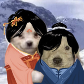Avatar for ssamcoat