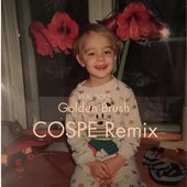 Golden Brush (feat. Wal Soo) [Remix] - Single