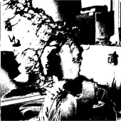 Noise Music 