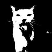 Avatar for raffh