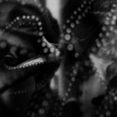 Delusion of Hope