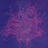 This is No Fun Acid 2