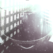 Avatar for ForestSound