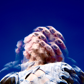 candy floss