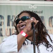 Chicago Blues Festival, 2008