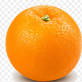 Avatar for PenerWanker