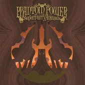 Super Furry Animals - Phantom Power