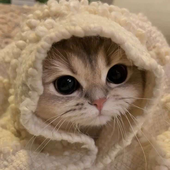 Deyasax 的头像