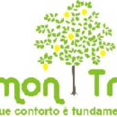 Avatar for lemon_treebr
