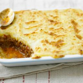 ShepherdsPie1 的头像