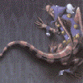 Avatar for iomm