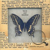 Butterflies And Graves