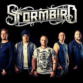 stormbird.jpg