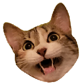 GhostCato 的头像