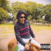 Termula "ATTACHMENT ISSUES" album cover