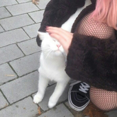 jumpycnat 的头像