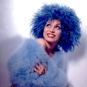 41154504-ss-blue1.jpg