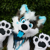 Avatar for TekkiWuff