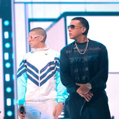 Bad Bunny & Daddy Yankee.png