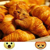 Poglit 的头像