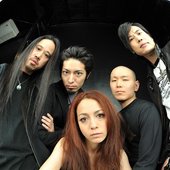 HPP 2010