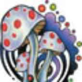 Avatar for FakeDestruction