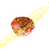 Avatar for spaghetti_flip