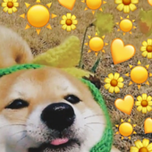 Enoux 的头像