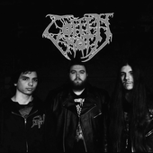 Coffin Rot