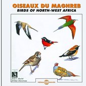 Oiseaux du Maghreb/Birds of North-West Africa