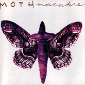 Moth Macabre