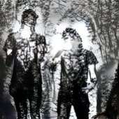 VIHAMEDITAATIO