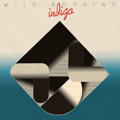 Wild Nothing.png