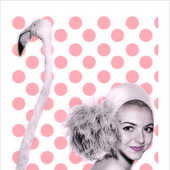 Аватар для ol_flamingo