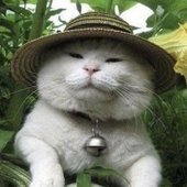 Ever Alexander Profile Picture