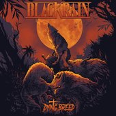 BlackRain - Dying Breed (single cover)