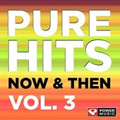 Pure Hits: Now & Then Vol. 3 (DJ Friendly Full Length Dance Mixes)