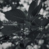 Tears in Daybreak