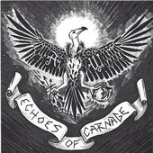 Echoes of Carnage