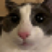 johnson32.png