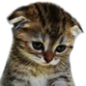 Avatar for korovva