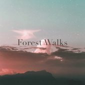 Forest Walks