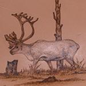 LastFM profile picture for @Reindeer