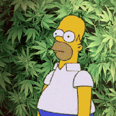 weed