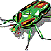 Avatar for butuki