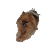 kurbykurby 的头像